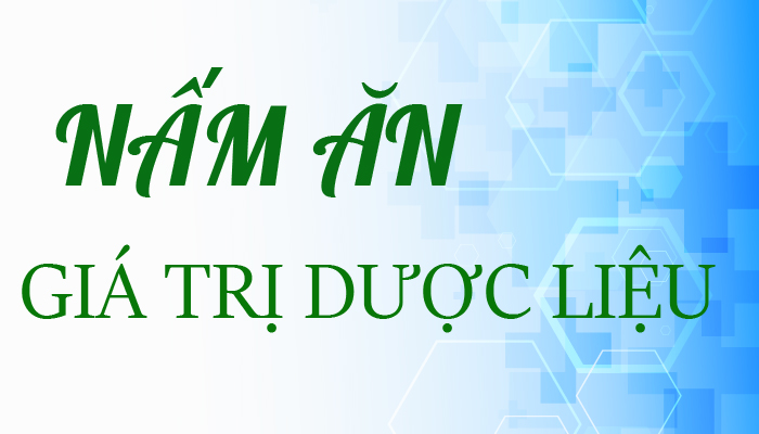 NẤM ĂN – GIÁ TRỊ DƯỢC LIỆU