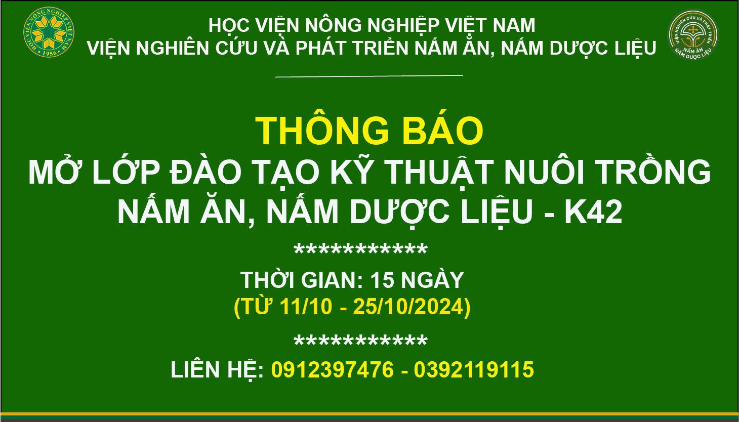 THÔNG BÁO MỞ LỚP ĐÀO TẠO KỸ THUẬT NUÔI TRÔNG NẤM ĂN, NẤM DƯỢC LIỆU - K42