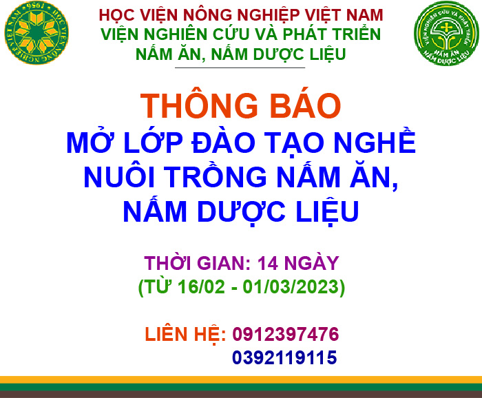 THÔNG BÁO MỞ LỚP ĐÀO TẠO NGHỀ NUÔI TRỒNG NẤM ĂN, NẤM DƯỢC LIỆU - K33