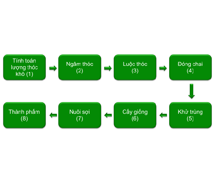 KỸ THUẬT SẢN XUẤT GIỐNG NẤM CẤP 2